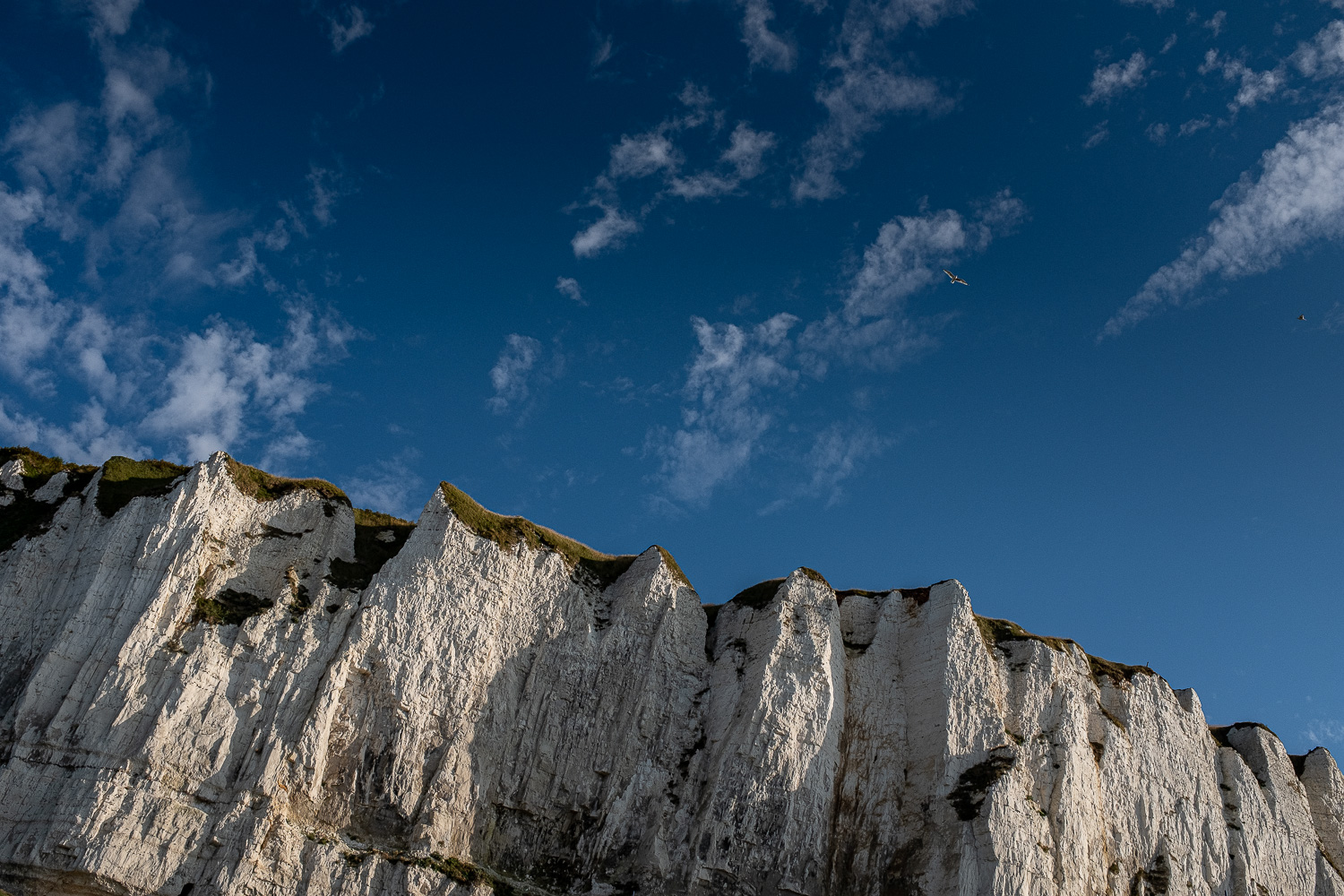 Drahtseilbahn und Jetski - Unterwegs mit dem großen Grünen!