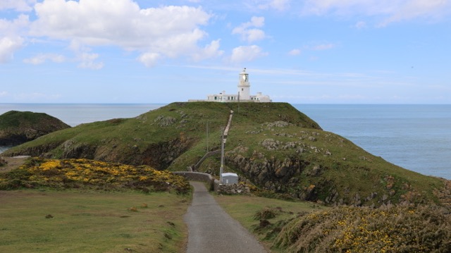 #916 Wales - Mit dem Leuchtturm im Blick