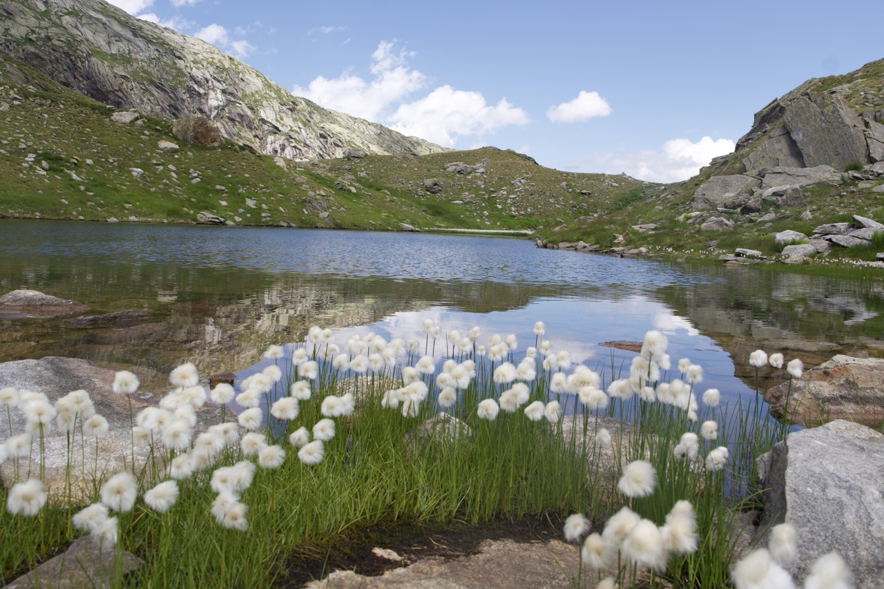 #1448 Schweiz - Lago del Naret, Sturz, Schmerzen, geschwollen!