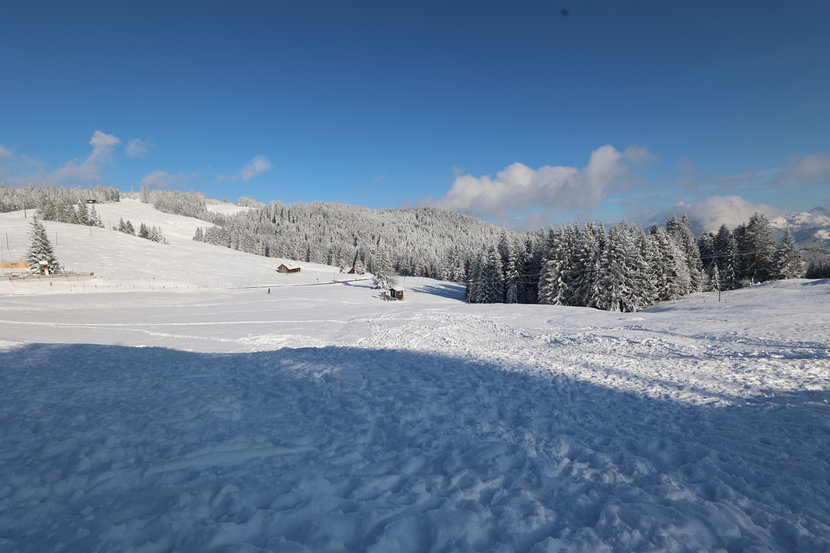 #204.5 Die Schnee Tour -   Sattelegg Schneeschuh laufen, ein Knall...und Glätte