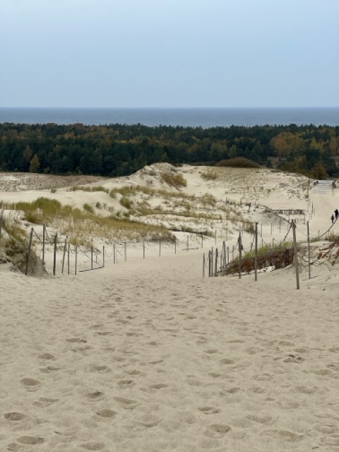 #1025 Litauen - Kurische Nehrung und die Tote Düne