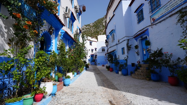 #515 Marokko, der Norden - Falsch und blau - Chefchaouen