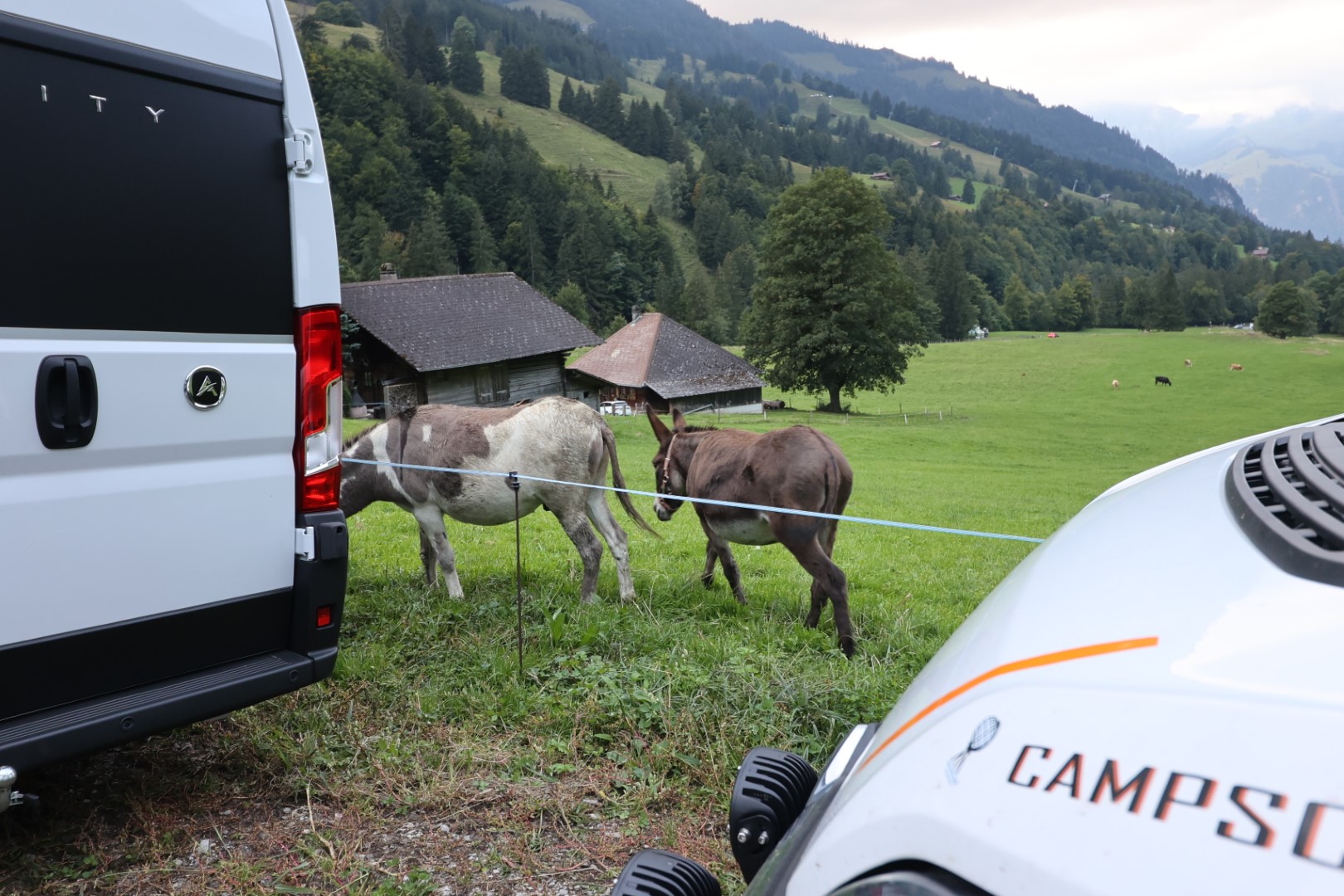 #296 - Innereriz, Stellplatz Gasthof Schneehas, Kiental