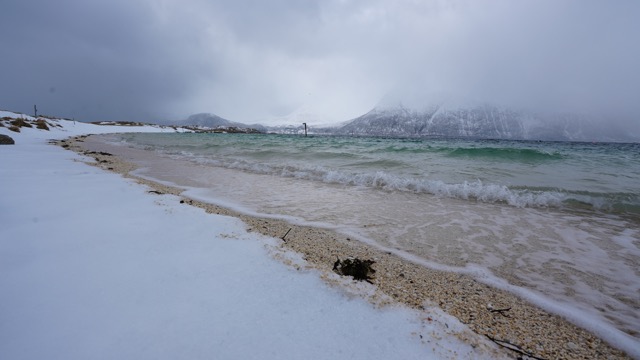 419.5 Kvaløya - Strandtag mit Vöglen