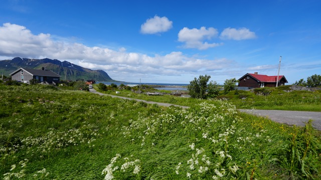 #468 Lofoten - Sandöya, wird das was?