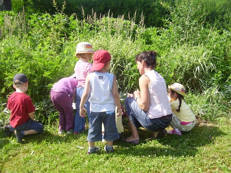 Eveil des sens au jardin , des plantes à caresser...