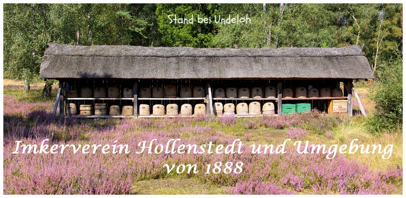 imkerverein-hollenstedts Webseite!