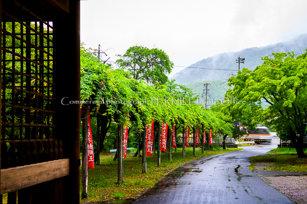 フォトウェディング,愛知,岐阜,結婚式,建築写真,出張,プロフィール写真,カメラマン,法人向け,ウェディング,出張カメラマン,建築写真撮影,パーティー,オフィス,士業