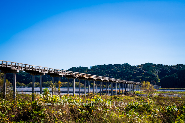 フォトウェディング,愛知,岐阜,結婚式,建築写真,出張,プロフィール写真,カメラマン,法人向け,ウェディング,出張カメラマン,建築写真撮影,パーティー,オフィス,士業