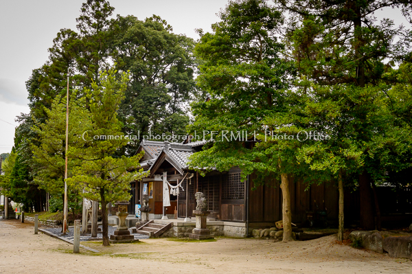 フォトウェディング,愛知,岐阜,結婚式,建築写真,出張,プロフィール写真,カメラマン,法人向け,ウェディング,出張カメラマン,建築写真撮影,パーティー,オフィス,士業