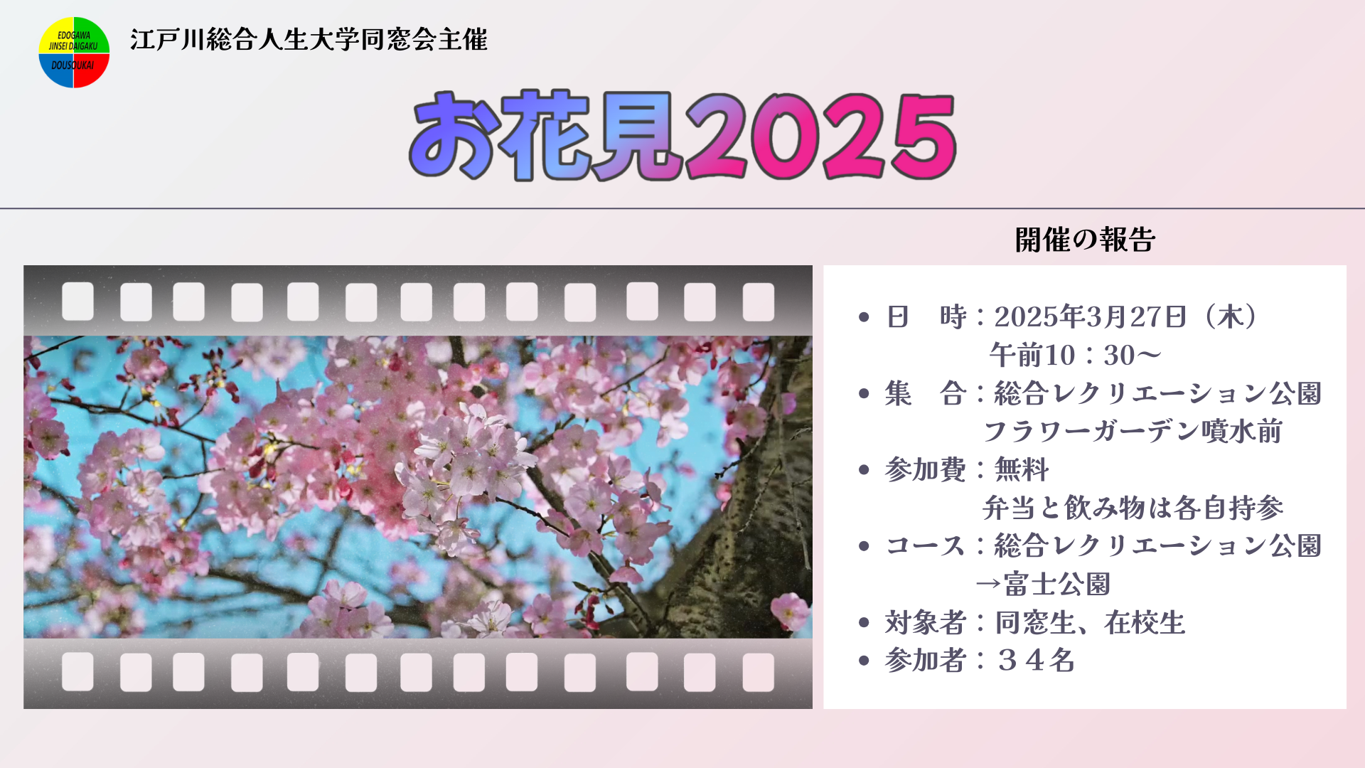 お花見2025を開催しました