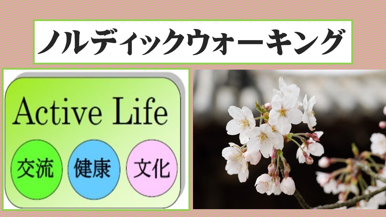 アクティブライフえどがわ　ノルディックウォーキング　　　　　　　　　　　　　　　　　　「第91回 小松川千本桜」　2024.03.27