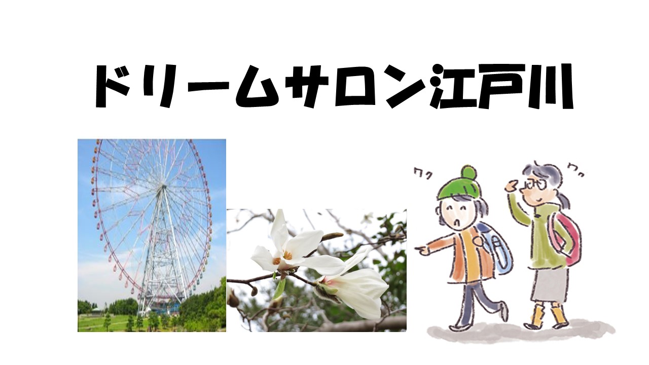 グループ訪問記　「ドリームサロン江戸川」