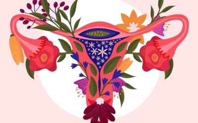 Shiatsu spécifique pour les déséquilibres des cycles menstruels