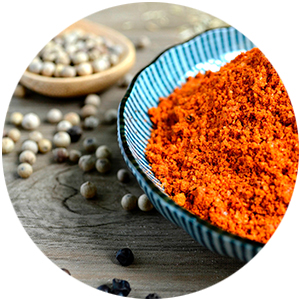 Ricasana // Ayurveda Gewürze, Kräuter & Tee