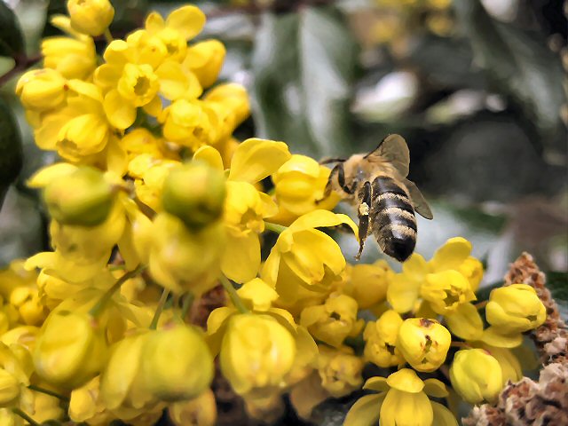 Bilder Bernd Lorenz