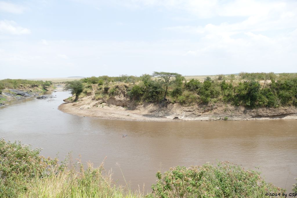 Mara-River