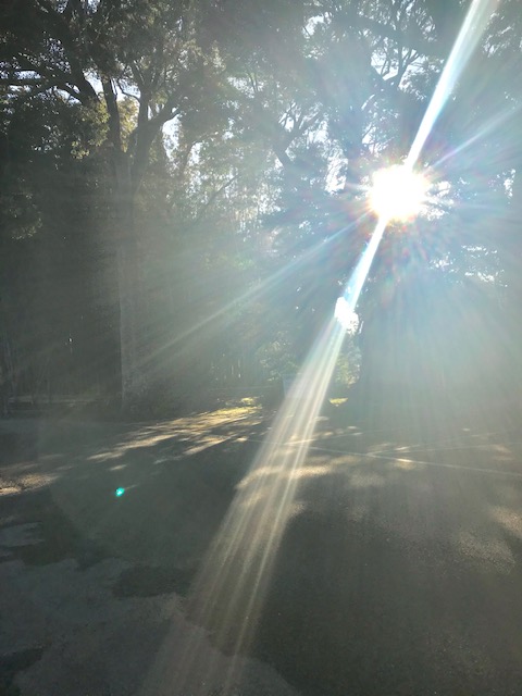 スピリチュアル Angelite Miracles 2 ページ