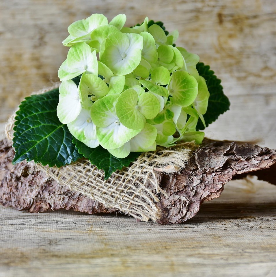 Floristische (Team-)Leitung
