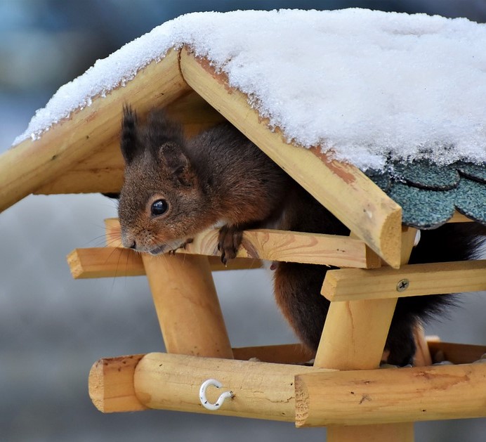 Vorarbeiter Gartenbau (m/w)