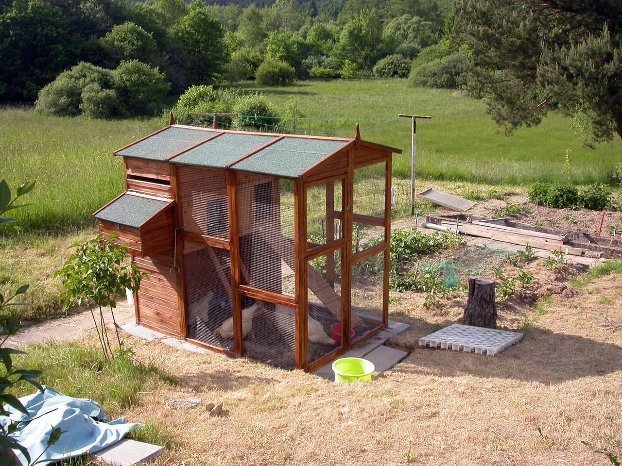 Un Poulailler Dans Votre Jardin Esraa Spécialiste Cage Chien