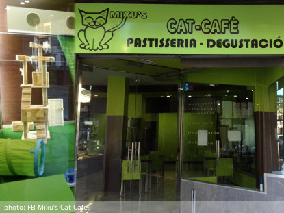 cat-cafe-mixu-s-granollers