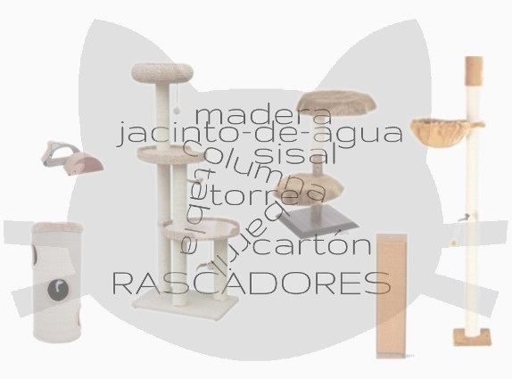 Tipos de rascadores top