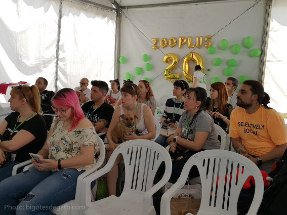 20-aniversario-zooplus-encuentro-blogueros-gatunos-wanda-metropolitano-madrid