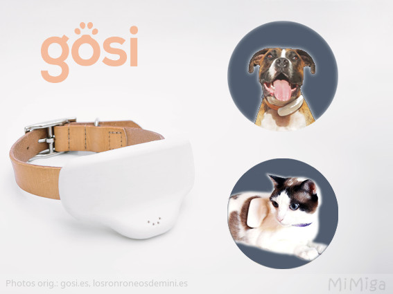 gosi-gps-para-mascotas-perro-gato