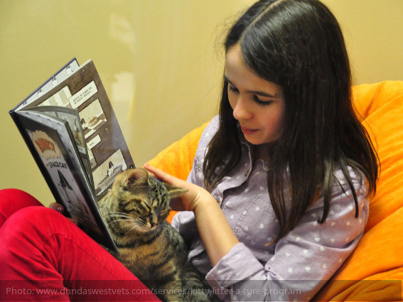 programa-kitty-litter-a-ture--ninos-leyendo-a-gatos-dundas-west-hospital-animal-toronto-canada