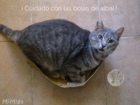 gato-caja-bola-papel-albal