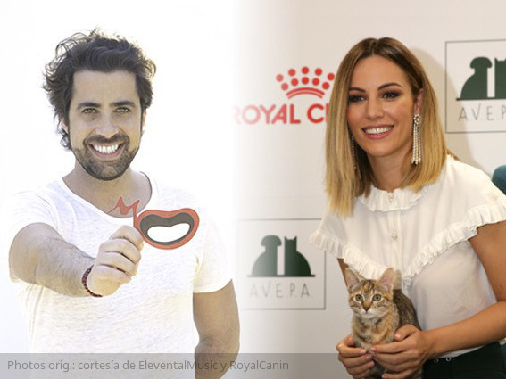 royal-canin-edurne-reto-de-bigotes-lleva-tu-gato-al-veterinario-señor-gañan-escucha-tu-consciencia