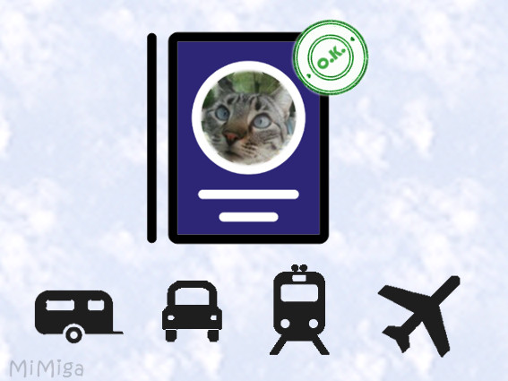 travelling with cats and other pet animals