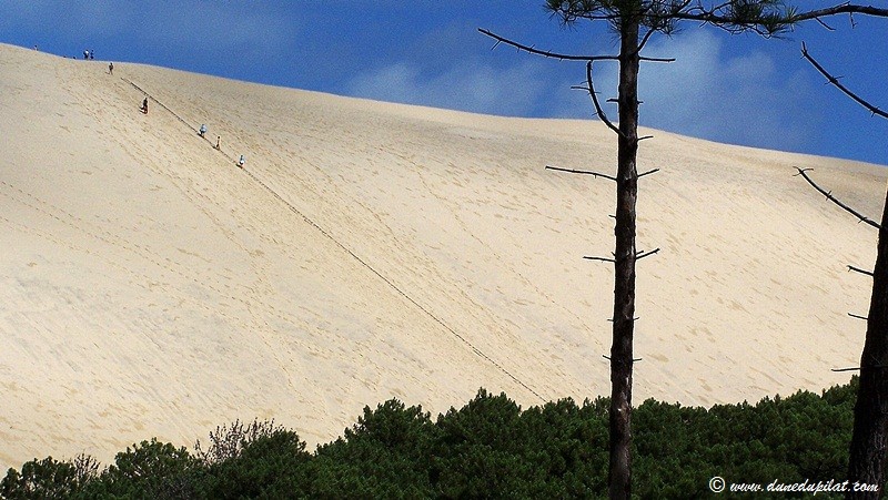 Blick auf die steile Ostflanke der Düne