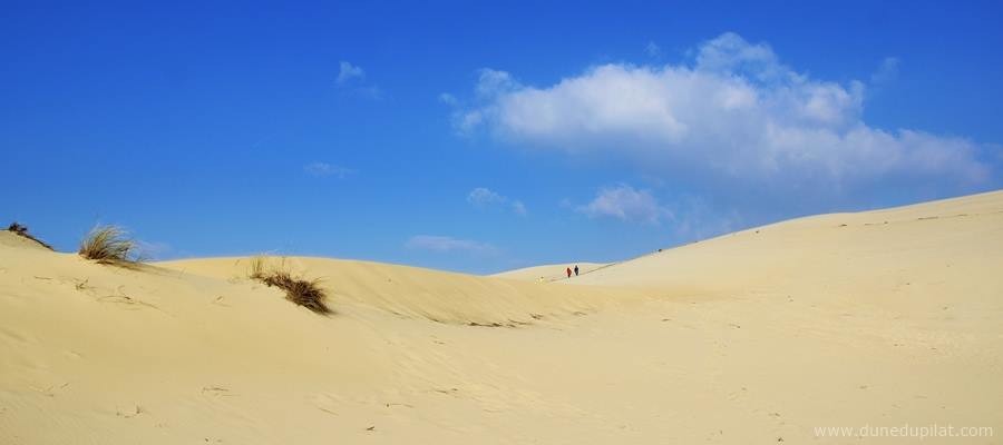 Une belle journée sur la dune