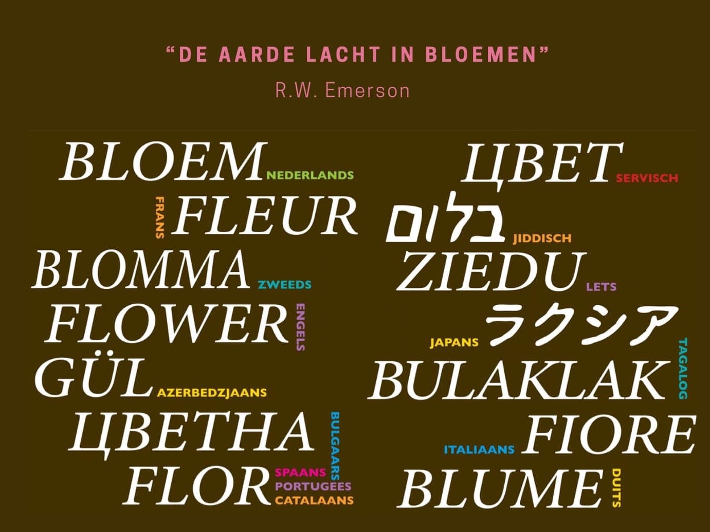 Bloemen ademen