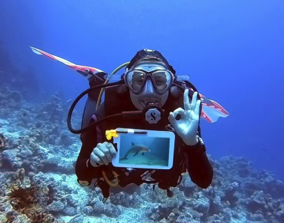 NiCe Dive & Trips