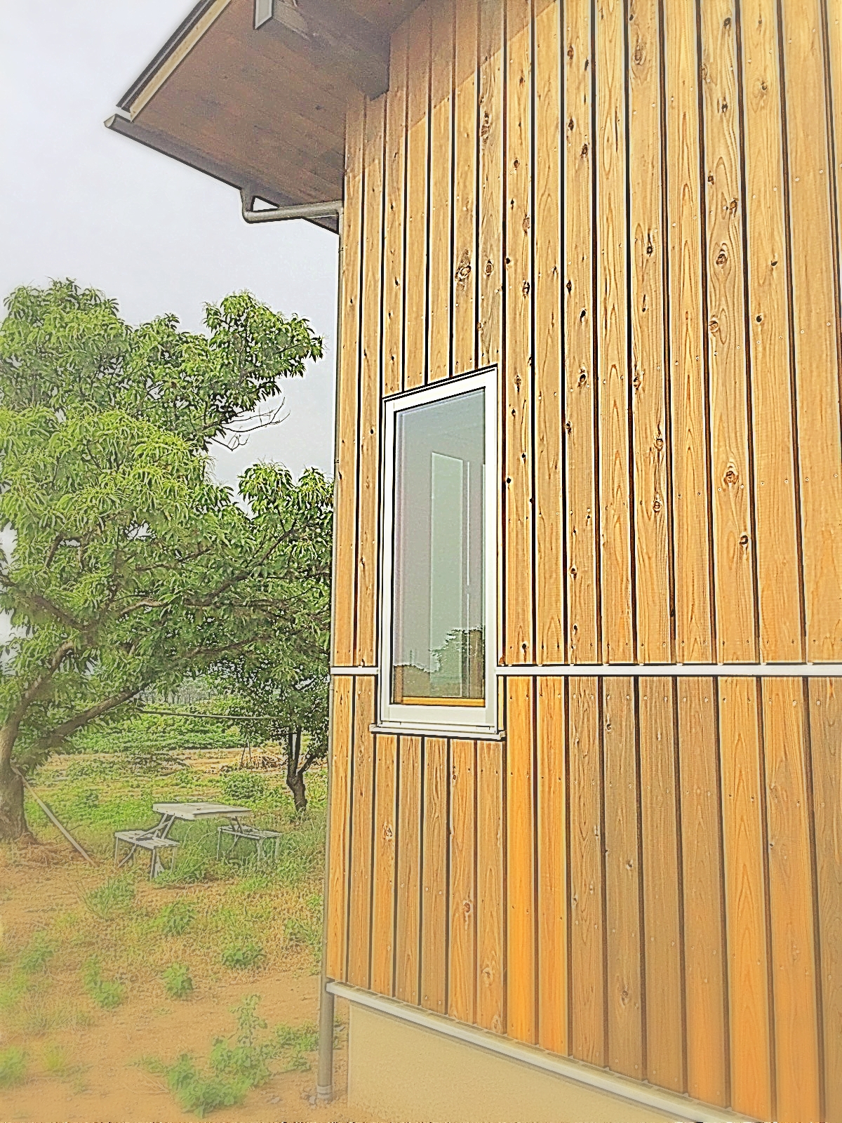 木製の外壁　自然素材の住宅