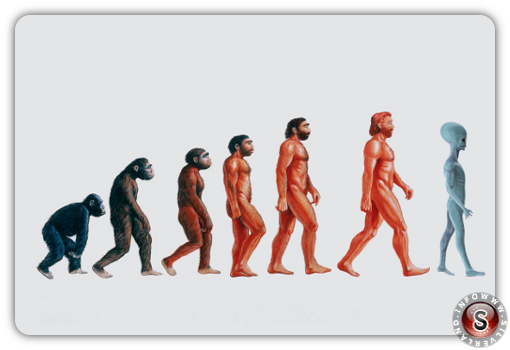 New evolutionary theory by Silverland