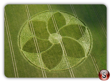Crop circles - Manton Wiltshire 2007