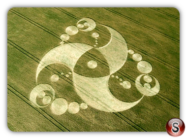 Crop circles - Martinsell Hill Wiltshire 2008