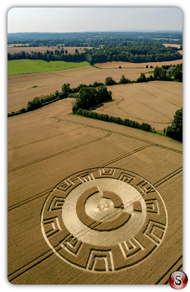 Crop circles - Woodcote Lane Hampshire 2021 - Matt Adamiak