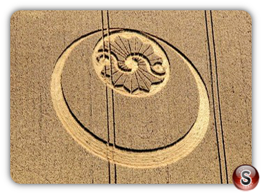 Crop circles - Stanton Bridge 2010
