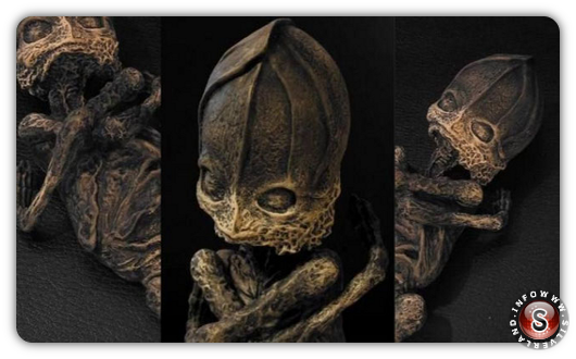 Aljoshenka alien?
