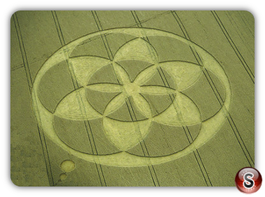 Crop circles - Froxfield Wiltshire 1994