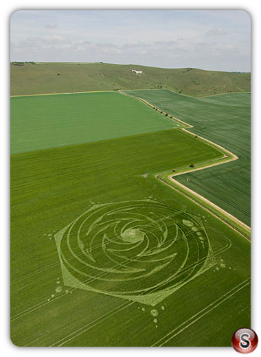 Crop circles - Milk Hill Wiltshire 2009