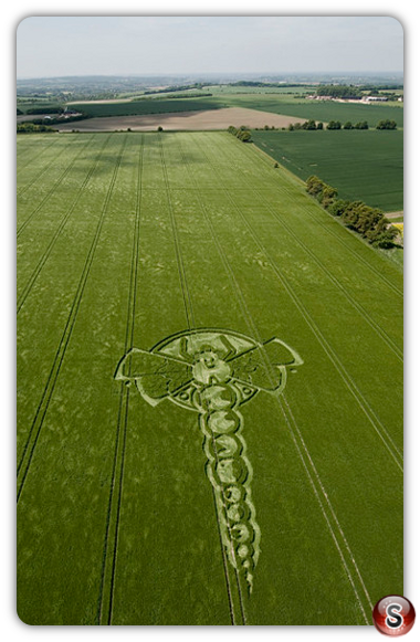 Crop circles - Little London (nrYatesbury) Wiltshire 2009