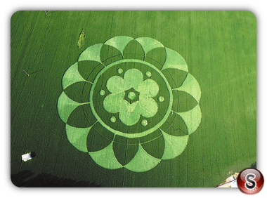 Crop circles - Fangshan District Bejing 2015