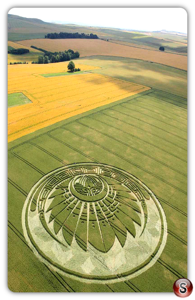 Crop circles - Silbury Hill nr. Avebury Wiltshire 2009