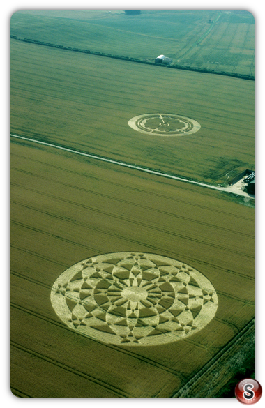 Crop circles - Beckampton 2001